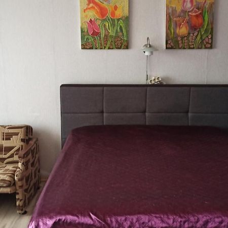 Appartement Mama à Kaunas Extérieur photo